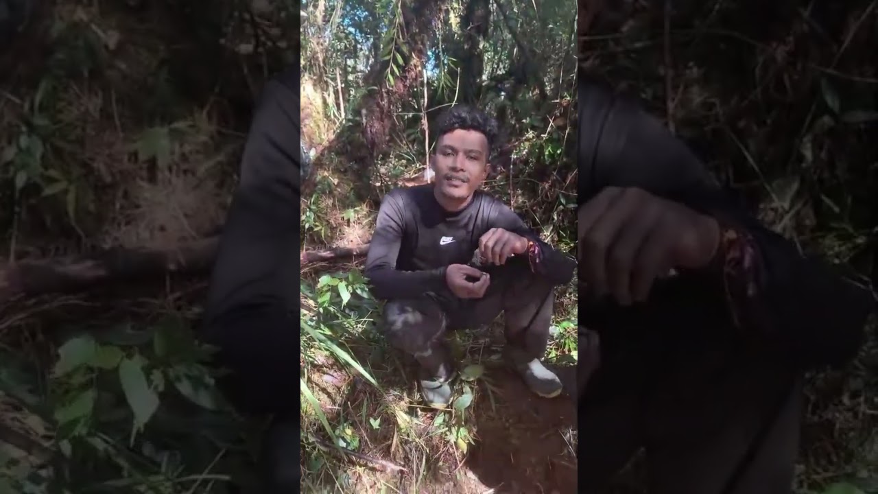 TNI MELAKUKAN PENYERANGAN SARANG KKB #prajurittni #tniad #melakukan #penyerangan #sarang #kkbpapua 