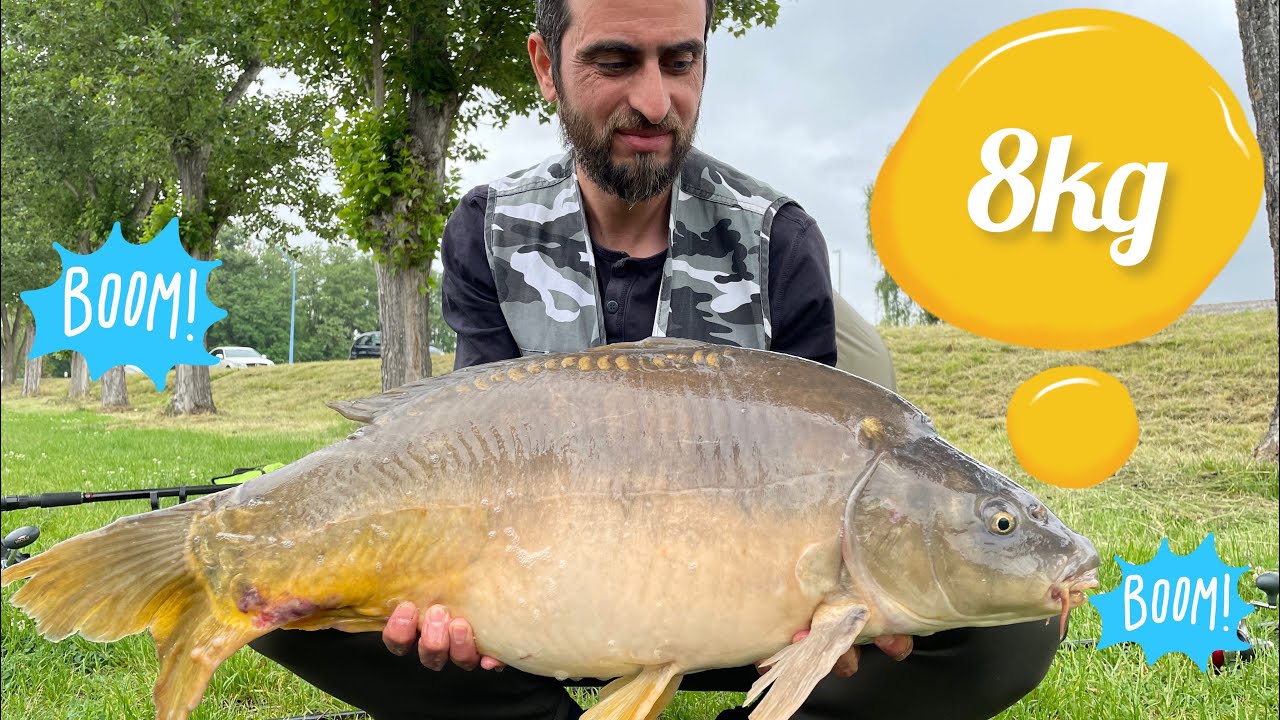 Mükemmel bir sazan avı peş peşe yapan sazanlar/perfect carp fishing