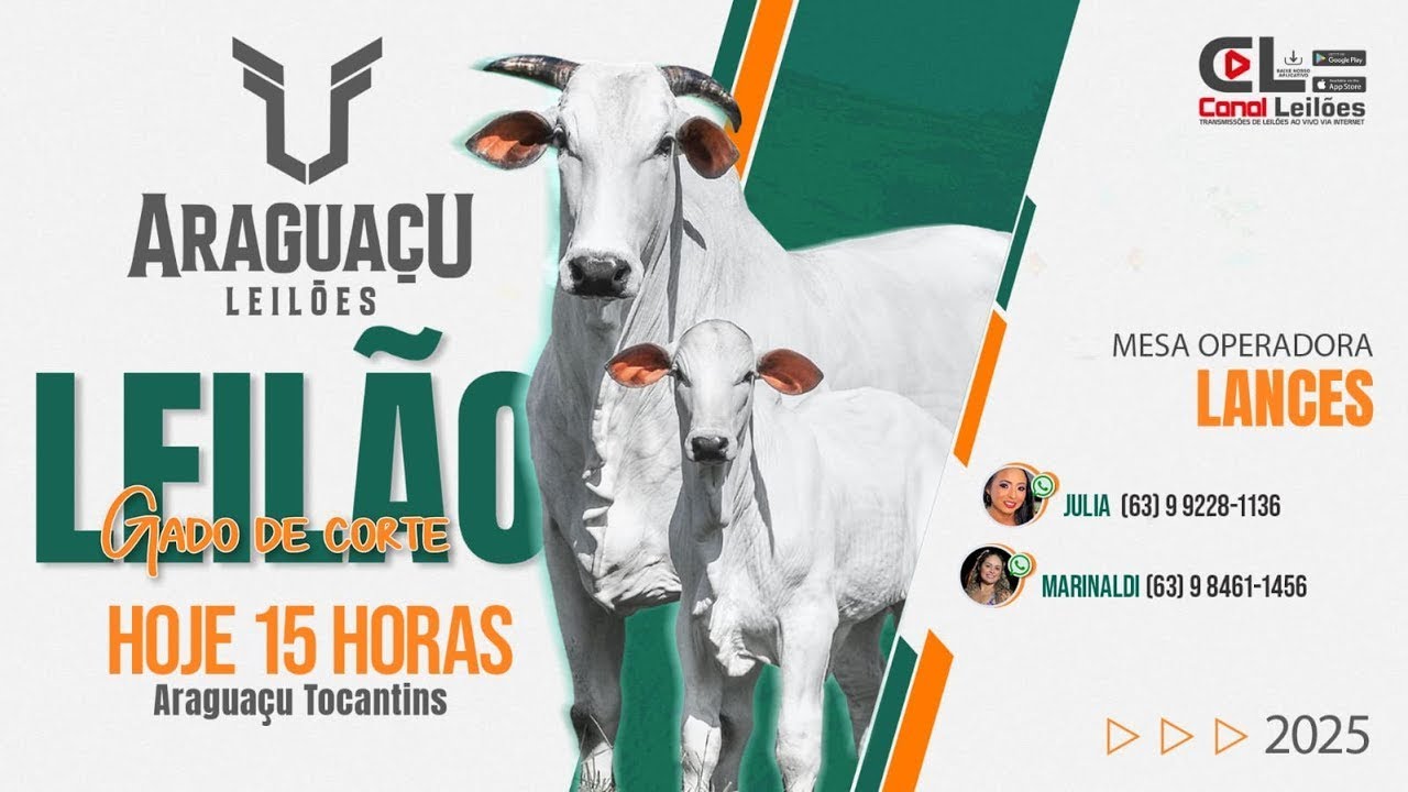 Leilão Gado de Corte Sind. Rural de Araguaçú - TO 07/02/2026