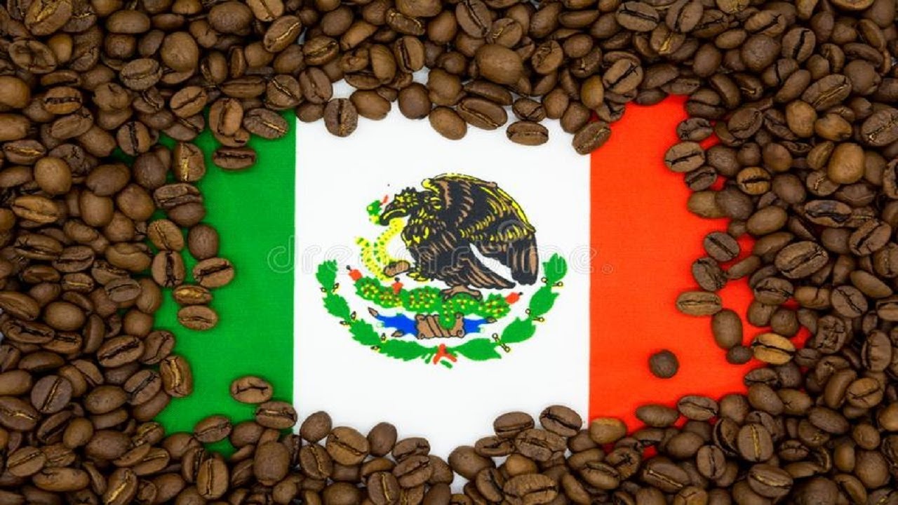 History of Coffee | Mexican Coffee | shade-grown Arabica coffee in Veracruz, Mexico