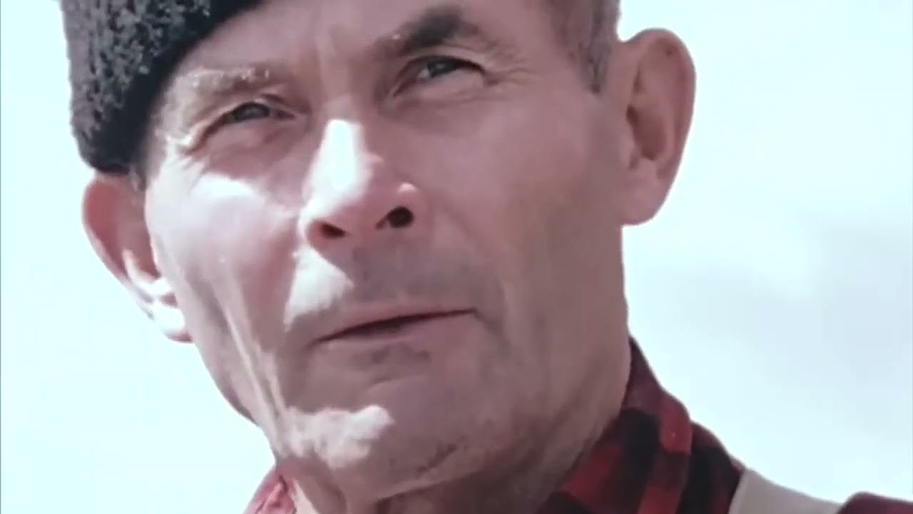 Cabin Alone in the Alaskan Wilderness -The Life of Dick Proenneke
