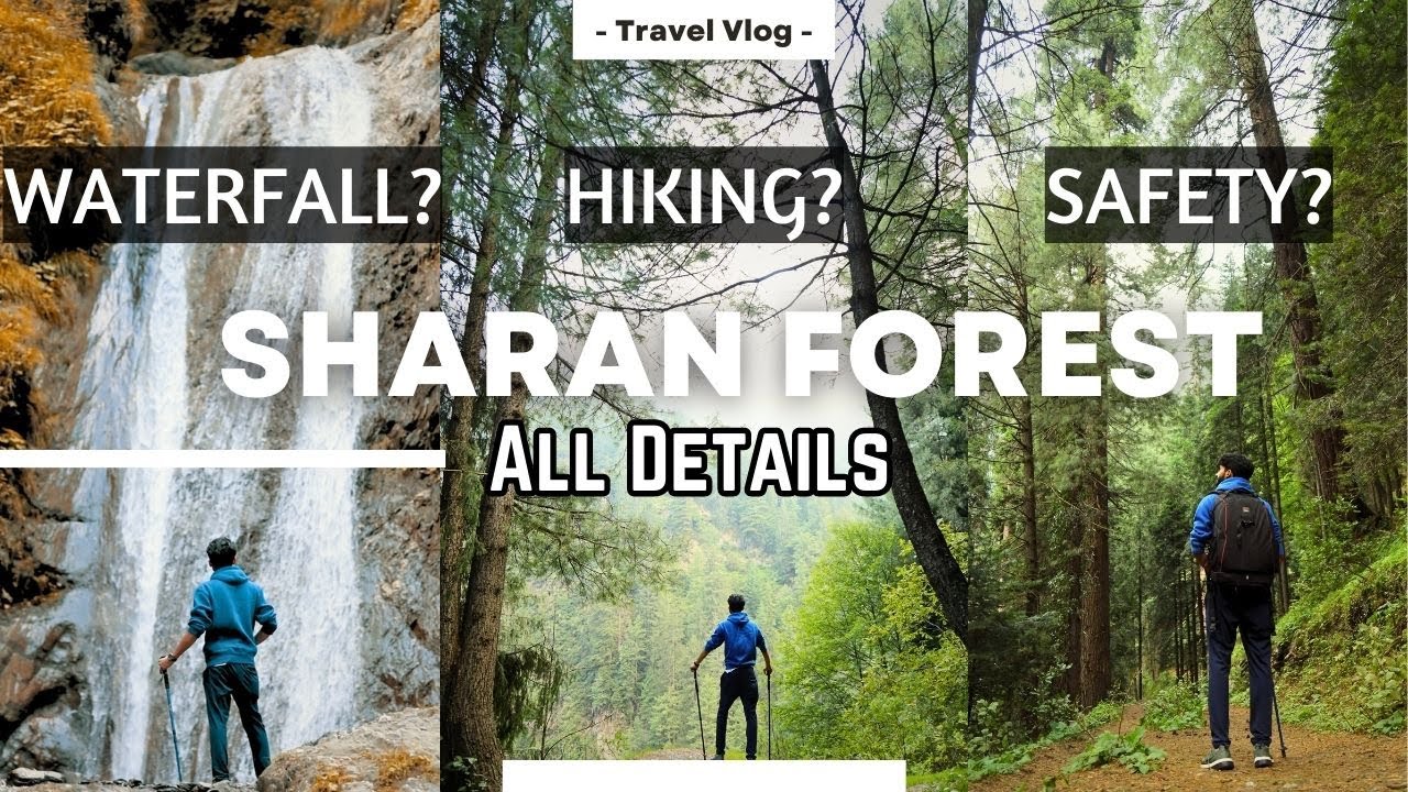 A Complete Guide to Sharan Forest | All Details for Best Camping Location