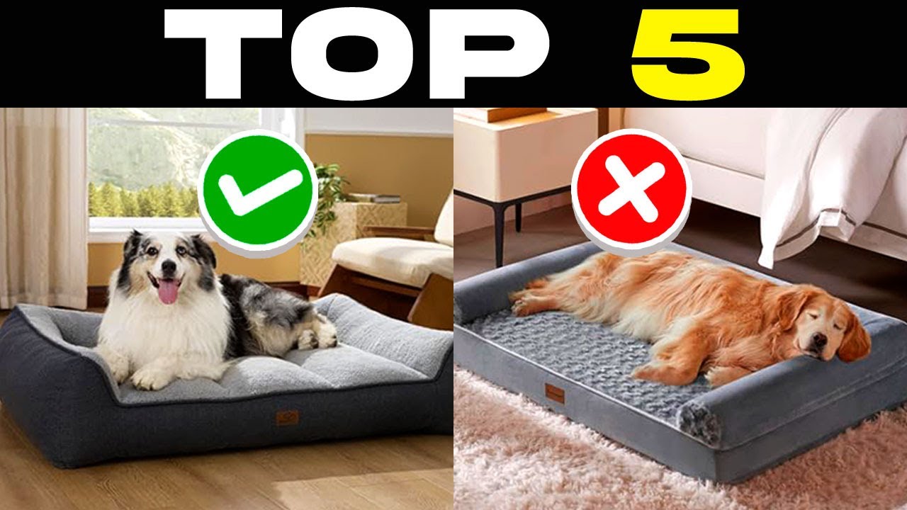 TOP 5 BEST DOG BEDS for LARGE DOGS 2025 | Large Pet Beds on AMAZON