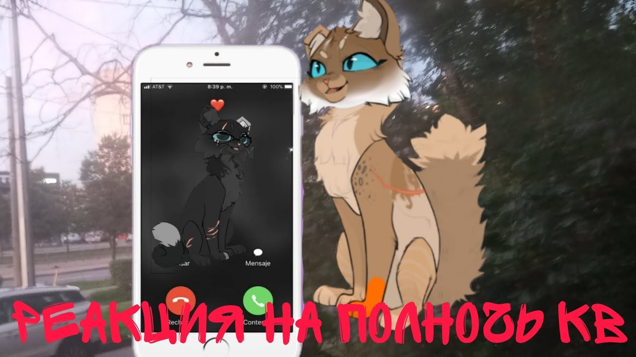 реакция на полночь  кв сью  или нет? первое кв видео #териан #warriorcats #котывоители #кв