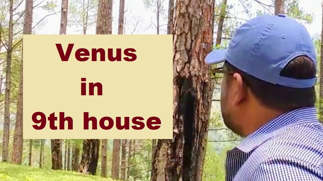 Venus in 9th house of birth chart