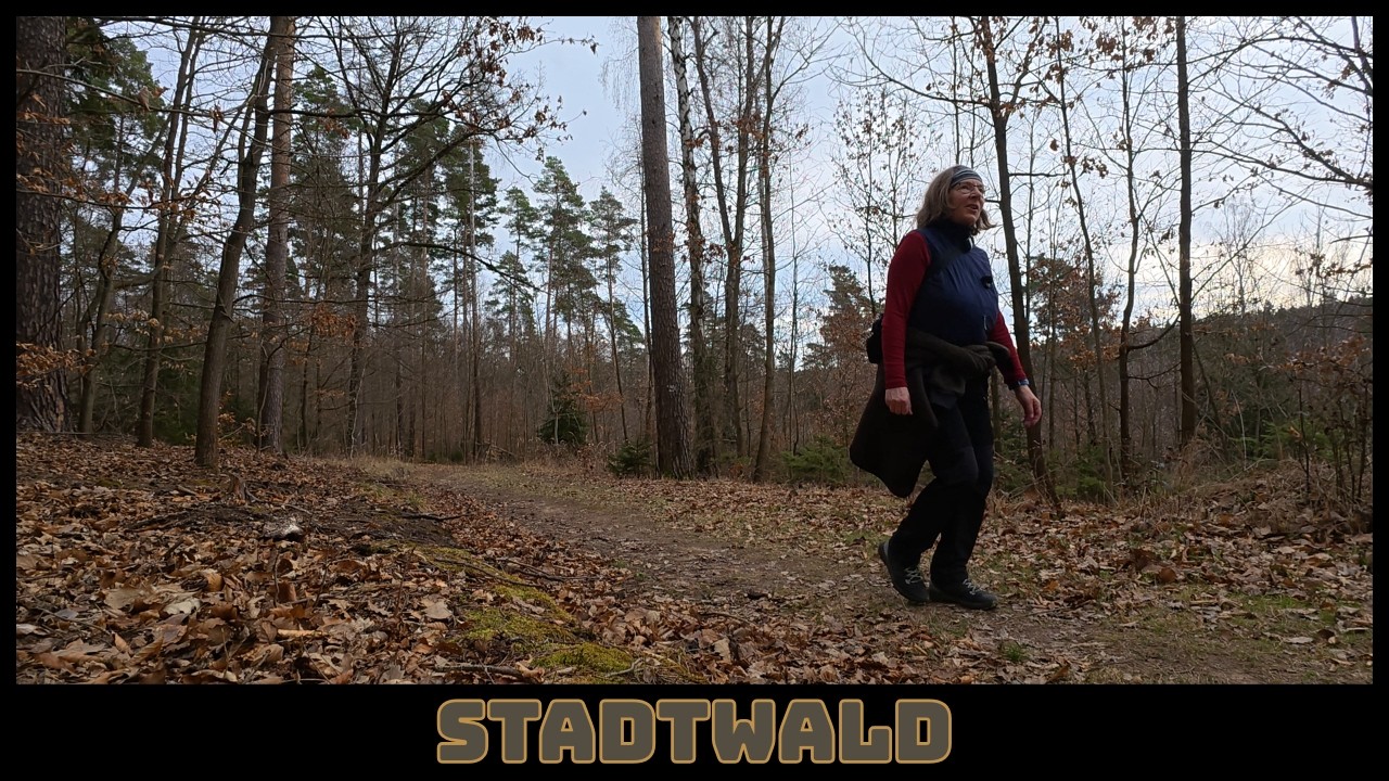 Stadtwald in Gera