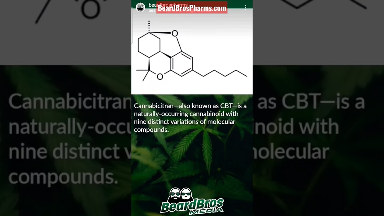What is CBT?    (CANNABICITRAN)    #shorts