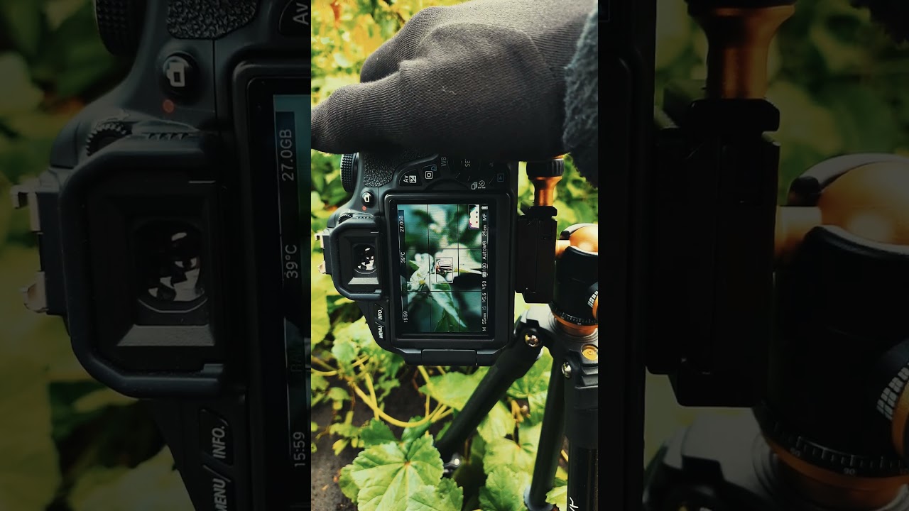 Canon EOS 600D with an EF-S 18-55mm f/5.6