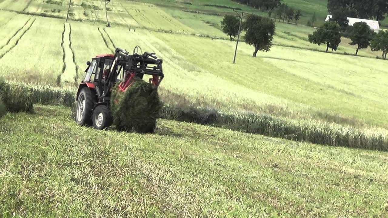 Kiszonka z Peluchy | MTZ 82/ Krone KR 125/ Ursus C360 3P |
