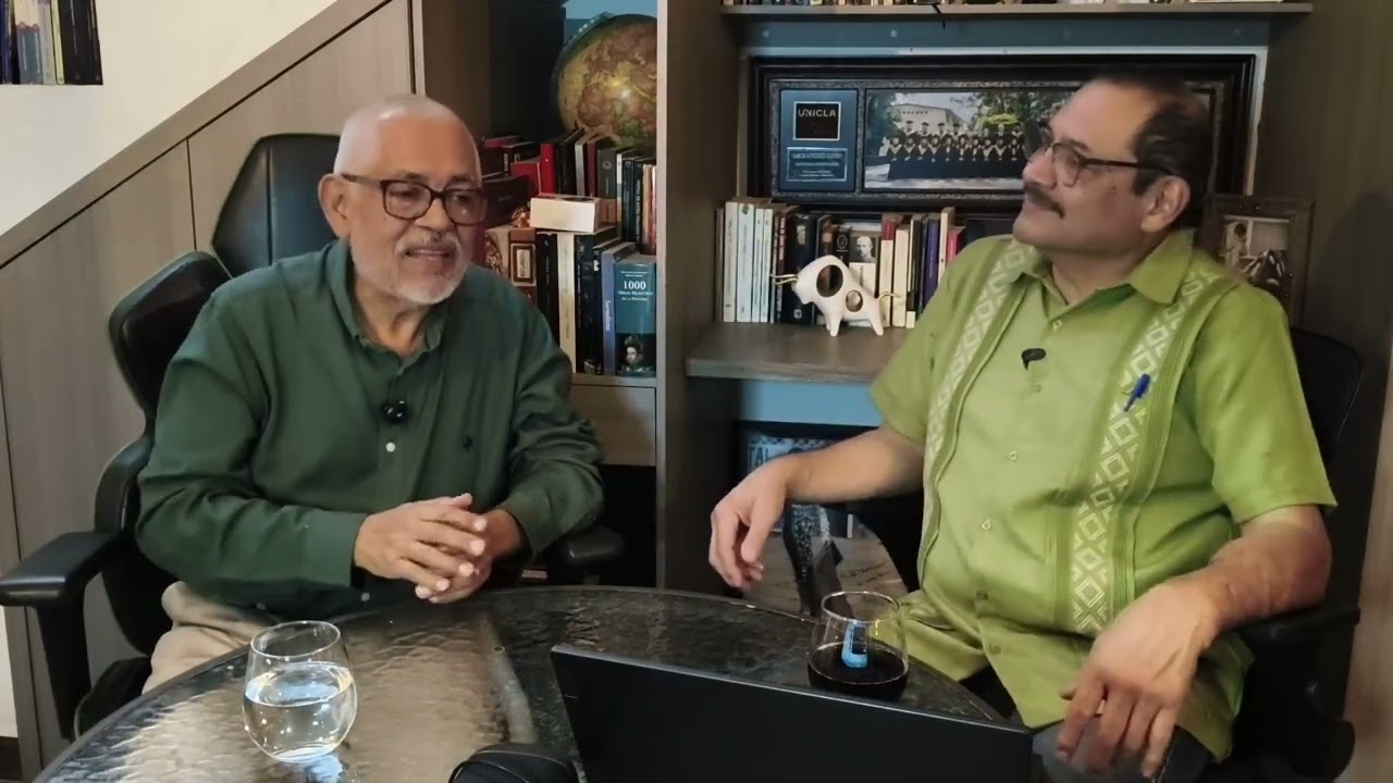 ¿Cuál es el proceso de envejecimiento del cerebro y del sistema nervioso?
