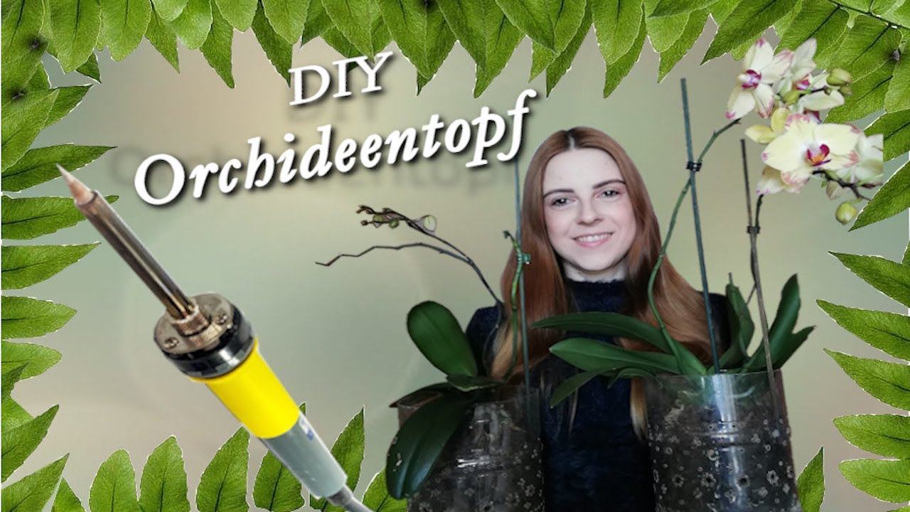 Den besten Orchideentopf selbst machen | DIY