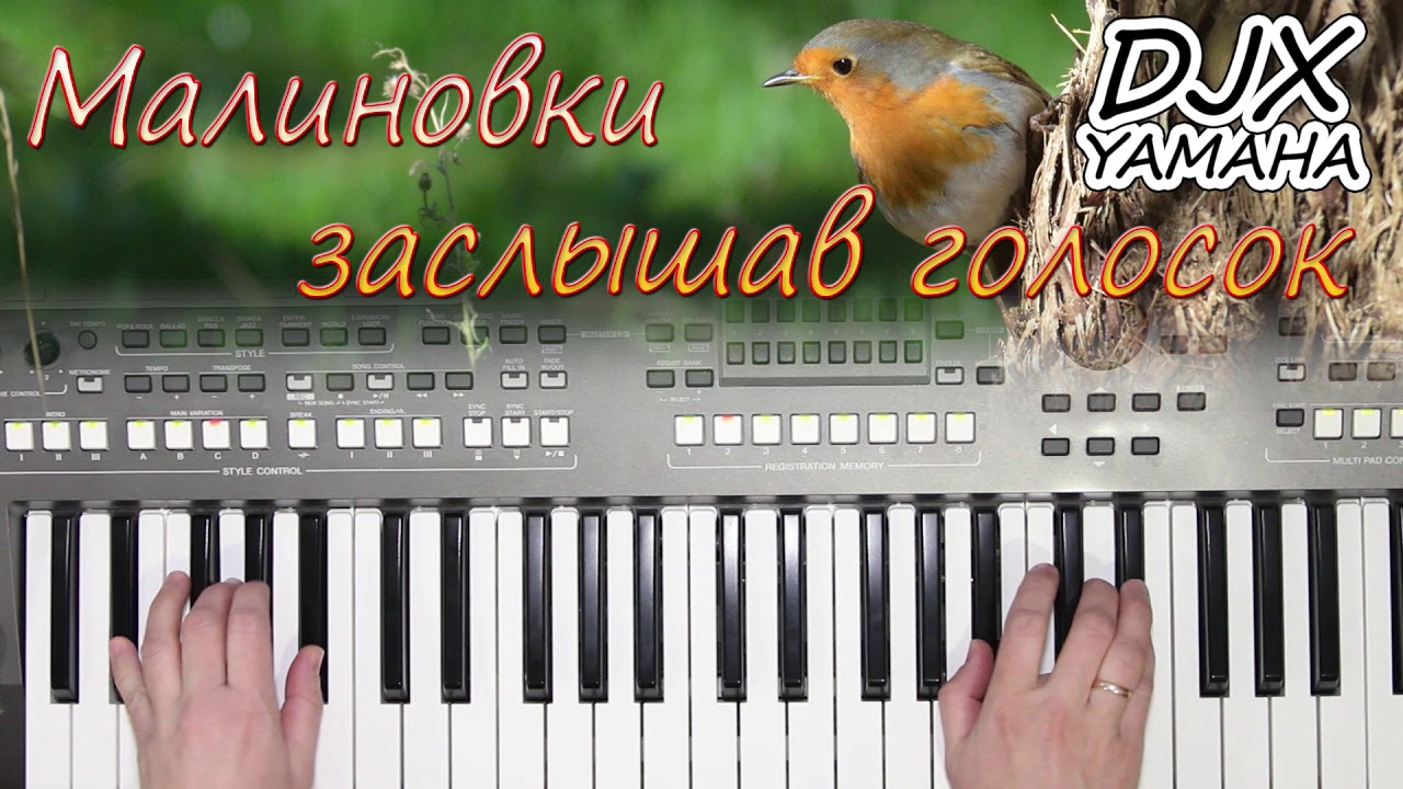 МАЛИНОВКИ ЗАСЛЫШАВ ГОЛОСОК ВЕРАСЫ КАВЕР  НА СИНТЕЗАТОРЕ ОТ YAMAHA DJX