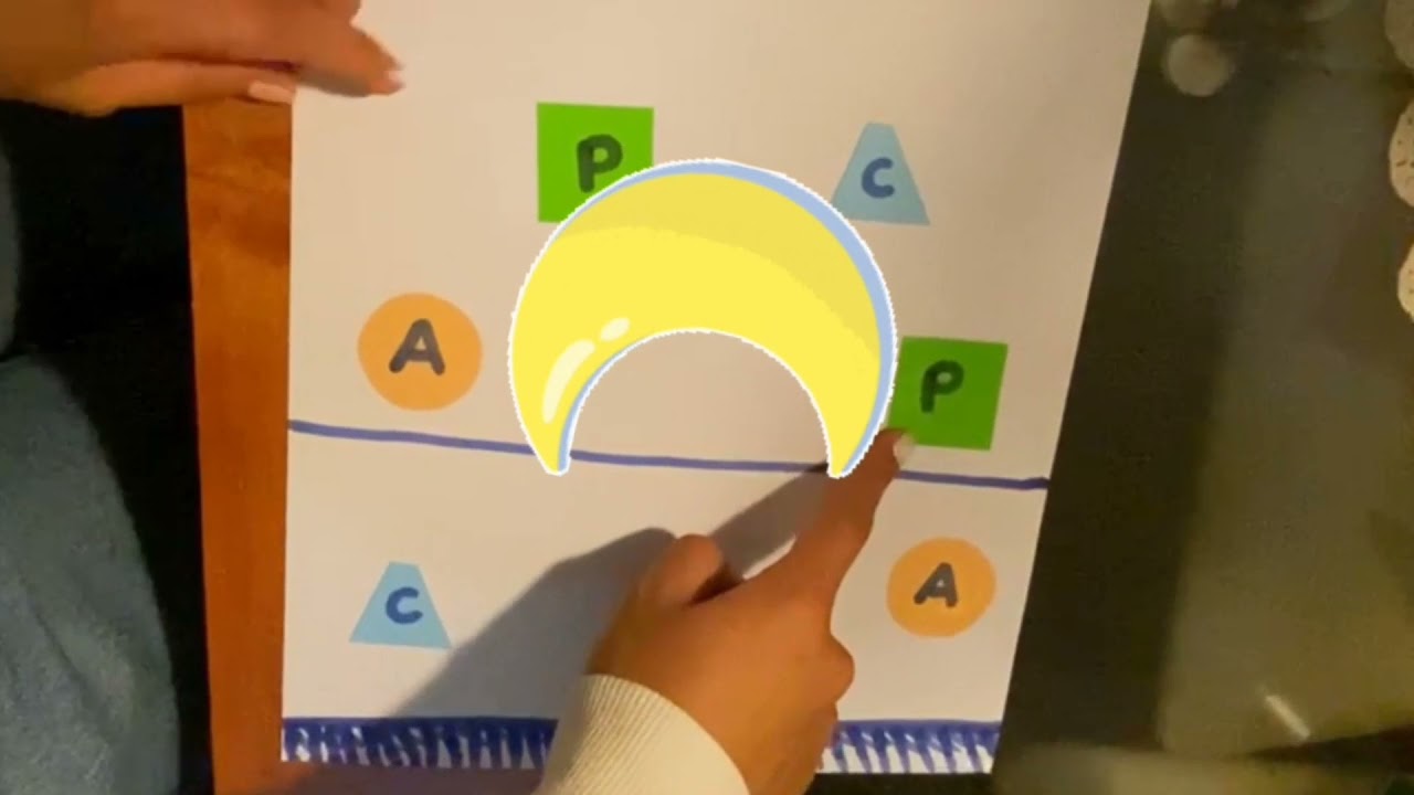 sistema de juego 4:2 voleibol