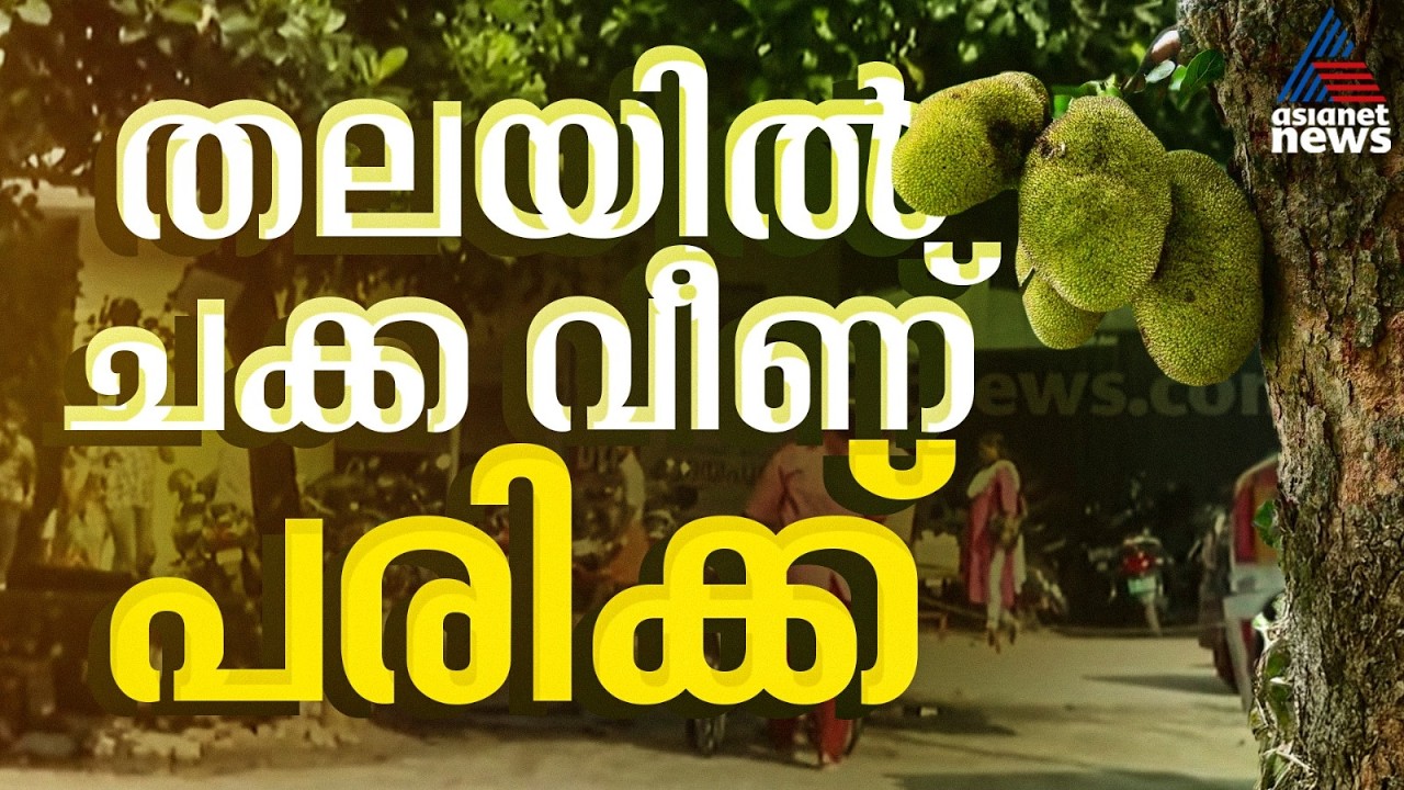 പത്തനംതിട്ട ആശുപത്രിയിൽ എത്തിയ ആളുടെ തലയിൽ ചക്ക വീണു
