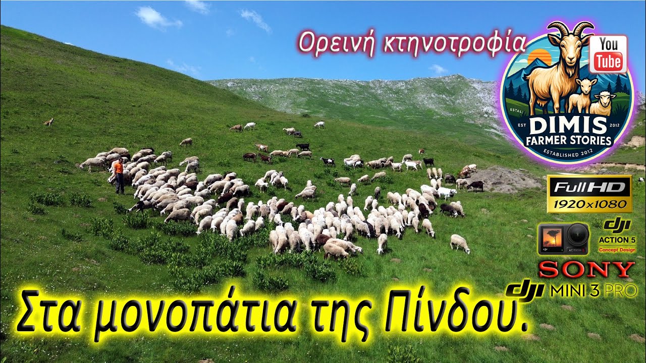 Στα μονοπάτια της Πίνδου!