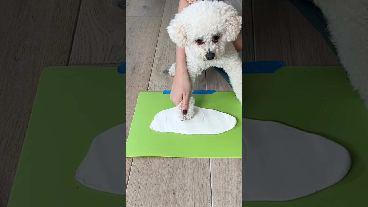 Making a statue of my dog&rsquo;s paw 🐾