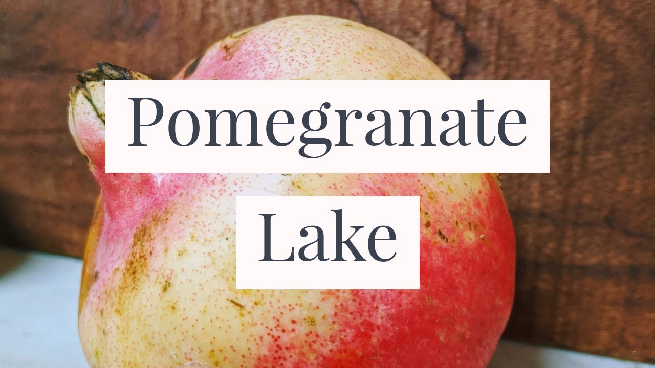 How to Make Your Own Lake Pigments: Pomegranate Yellow
