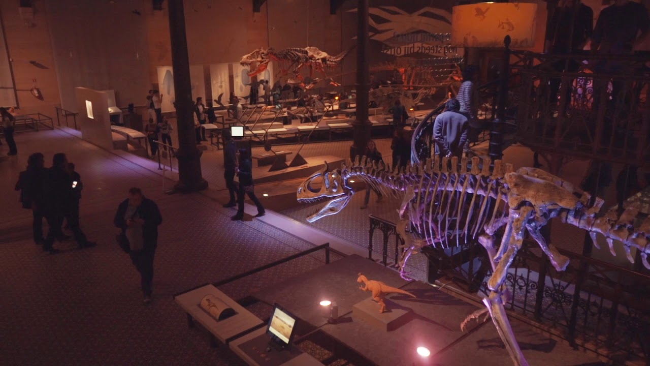 Museum Night Fever 2019