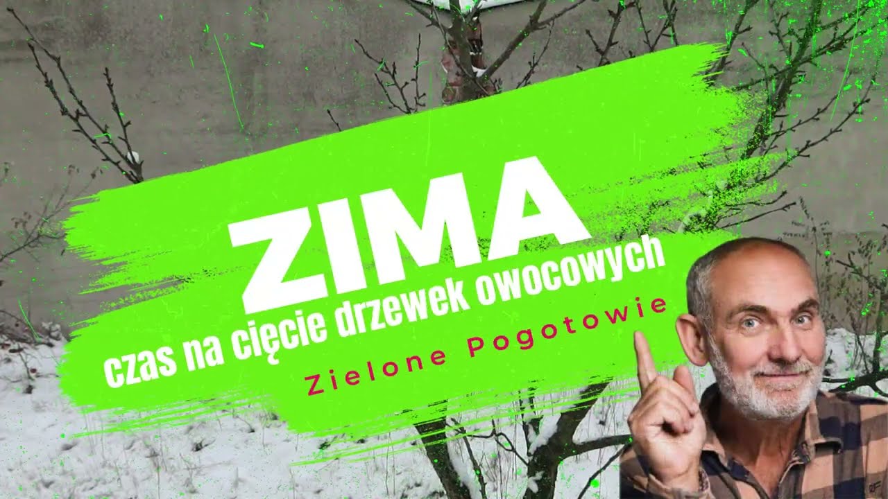 Zimowe cięcie śliwki