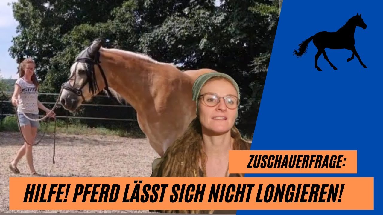 Hilfe! Mein Pferd lässt sich nicht longieren... So schaffst du es garantiert!