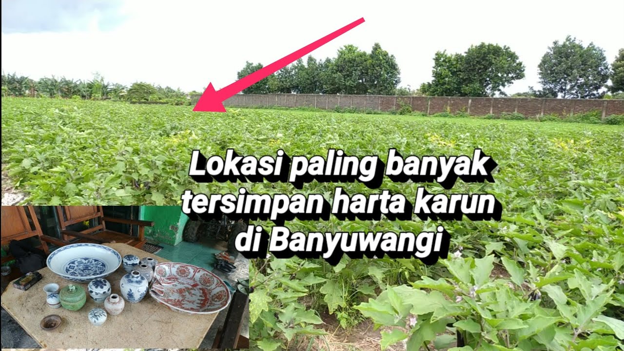 Lokasi Paling Banyak Menyimpan Harta Karun di Banyuwangi .