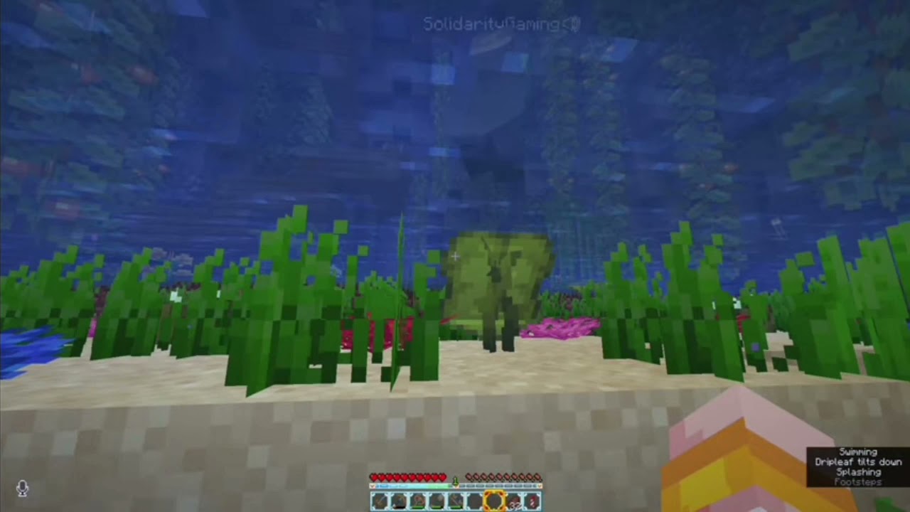 The flower husbands went on a date in empires smp (cute moments)