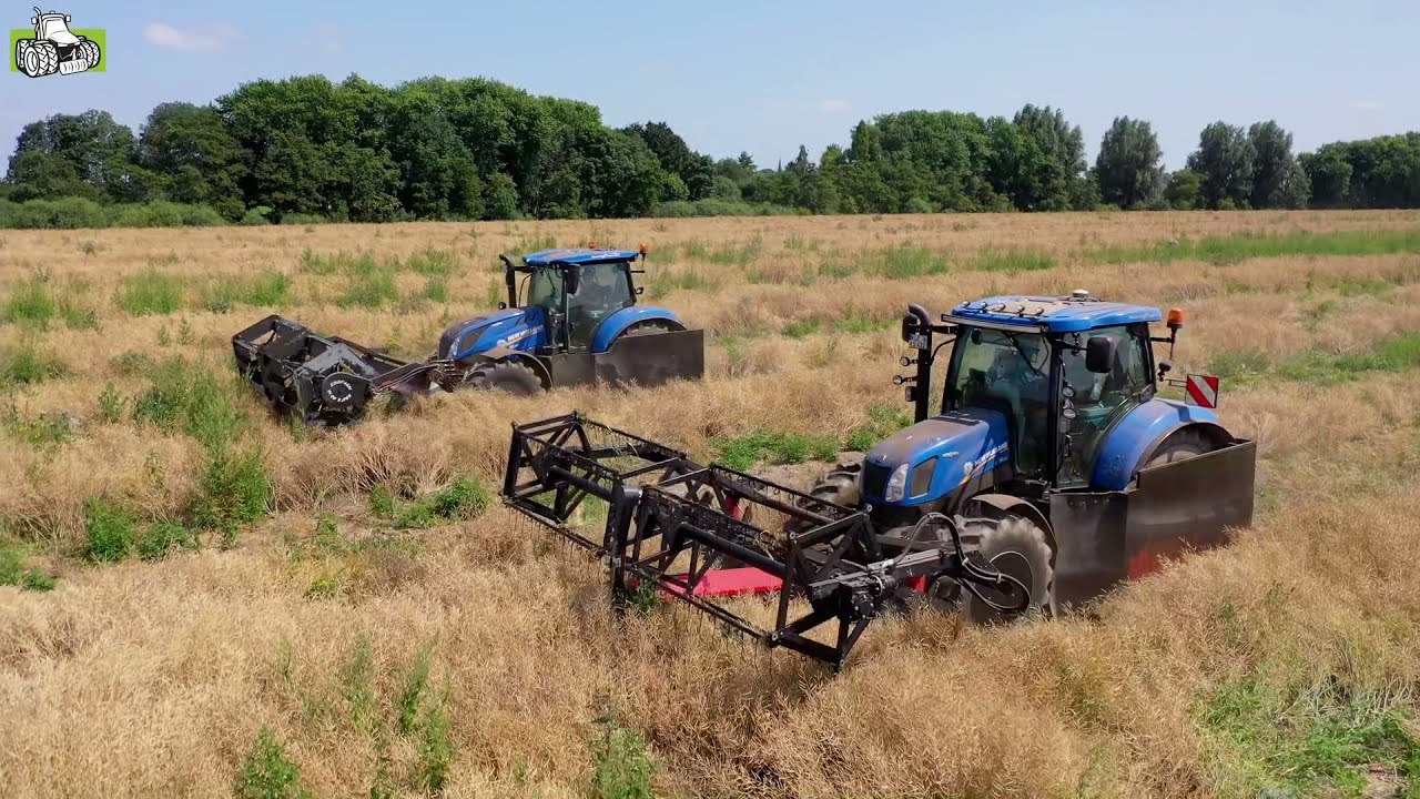 Koolzaad op zwad maaien