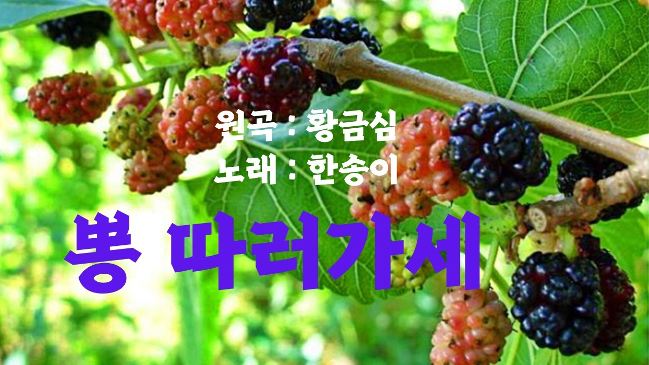 [한송이의음악방송]#노래하는아줌마#중년#7080#힐링라이브#트로트사랑#흘러간노래#중년을위한라이브#뽕따러가세#황금심