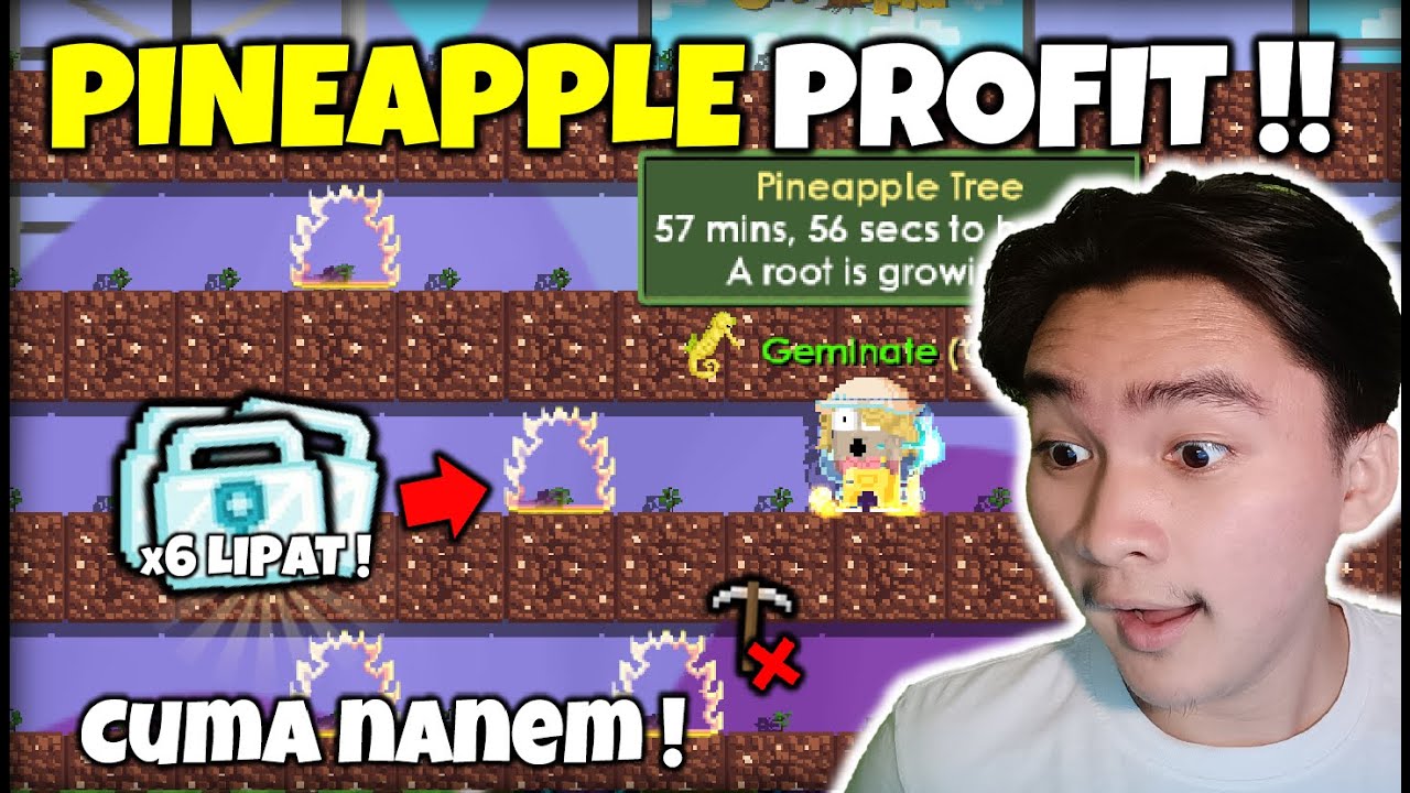 PROFIT 6x LIPAT CUMA NANEM !! [EASY BANGET] Growtopia Pineapple Profit 2022