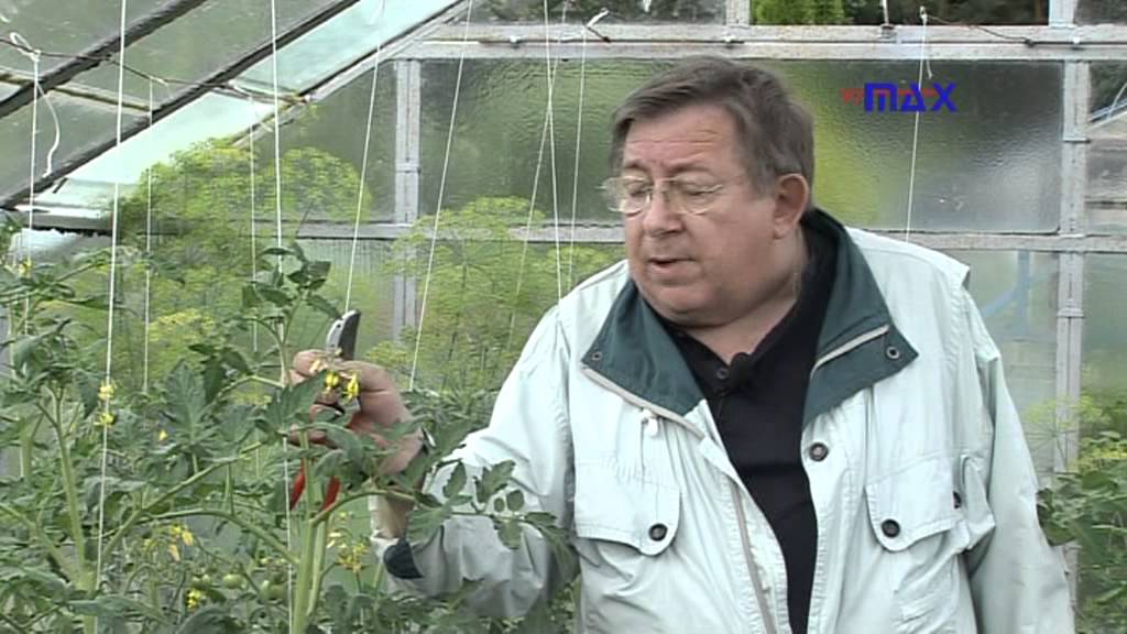 Ogród na Miarę - 2012.07.28