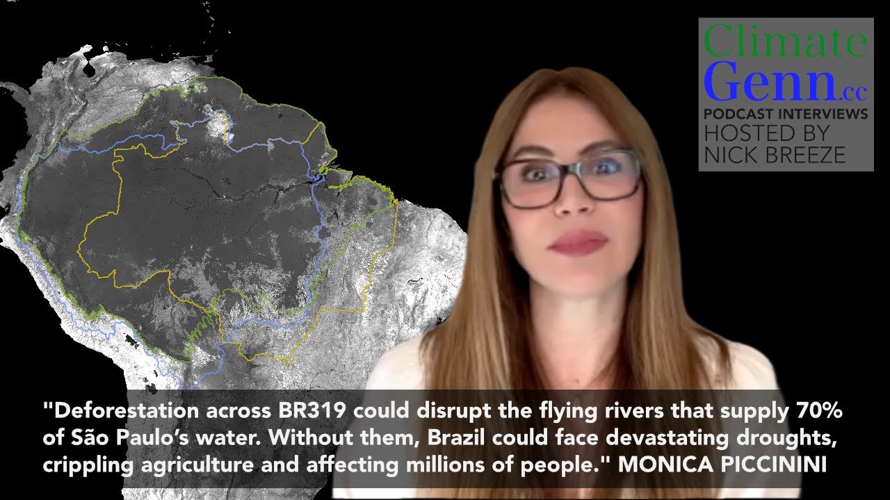 Highway to Hell: How BR319 Threatens the Amazon + Undermines Brazil’s #cop30  Credibility