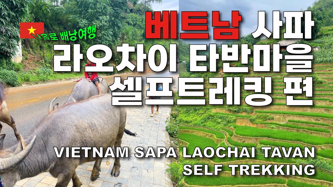 [굿모닝 베트남] #4 🇻🇳 우당탕탕😝 타반마을 셀프 트레킹 / 베트남 사파 / 라오차이, 타반마을 셀프 트레킹 편 / 나홀로 배낭여행