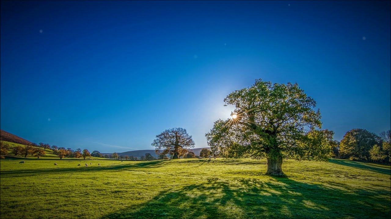 Beautiful Instrumental Hymn – The Unclouded Day (Country Style)