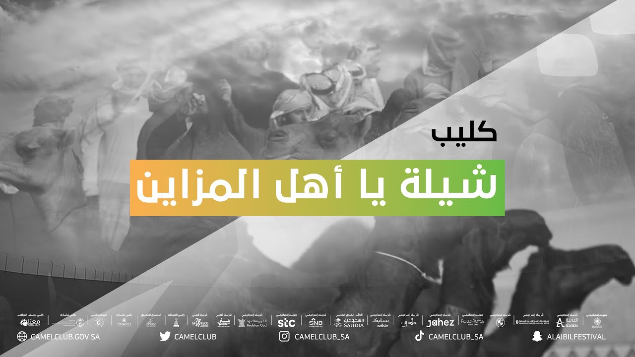 كليب شيلة يا أهل المزاين | أداء حسين آل لبيد وعبدالله آل فروان