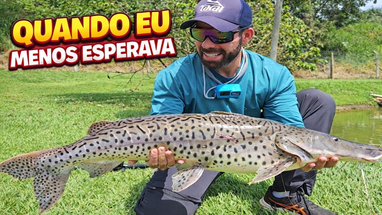[09] PEGANDO PEIXE DE COURO, PESQUEIRO CRISTAIS JUNDIAÍ-SP