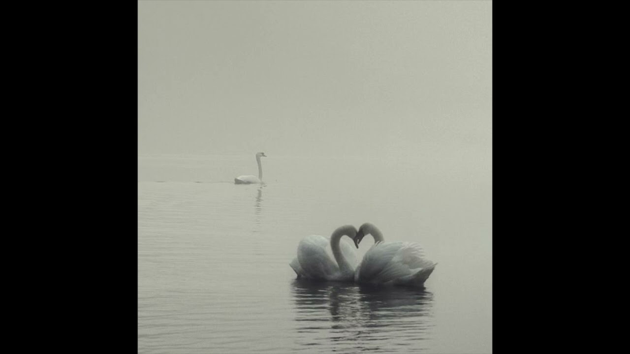 Mazzy Star // Lana Del Rey // Dream Pop type beat 'Soldier'