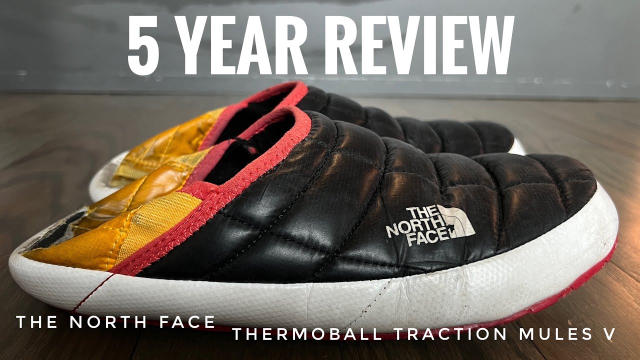Пятилетний обзор тяговых мулов North Face Thermoball V