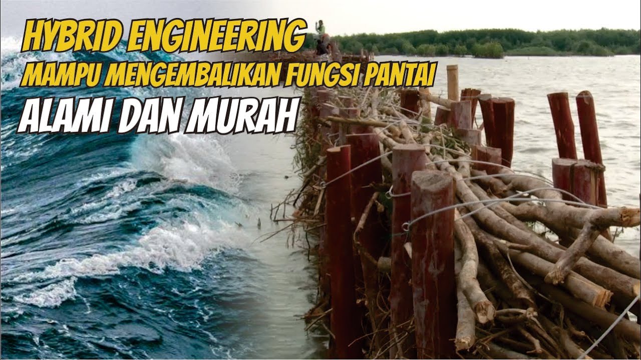 Hybrid Engineering: Teknologi Sederhana Untuk Atasi Abrasi Pantai