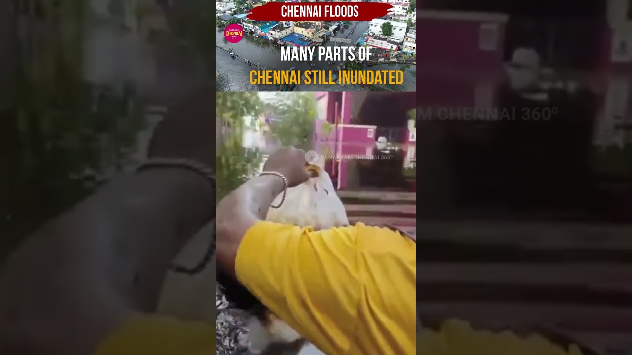 Flood water in Ennore has mixed with oil | #flooddamage