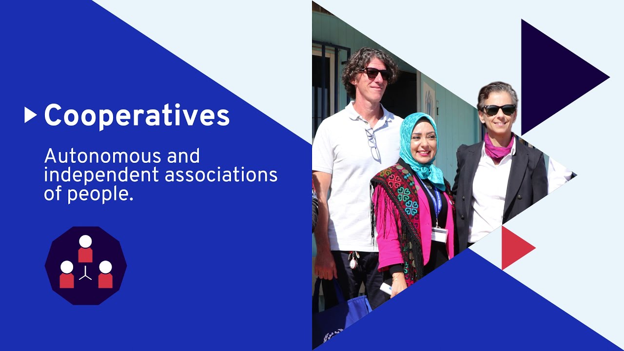 The role of cooperatives in forced displacement (Short Version)
