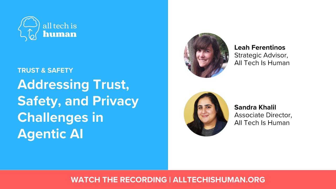 Addressing Trust, Safety, and Privacy Challenges in Agentic AI