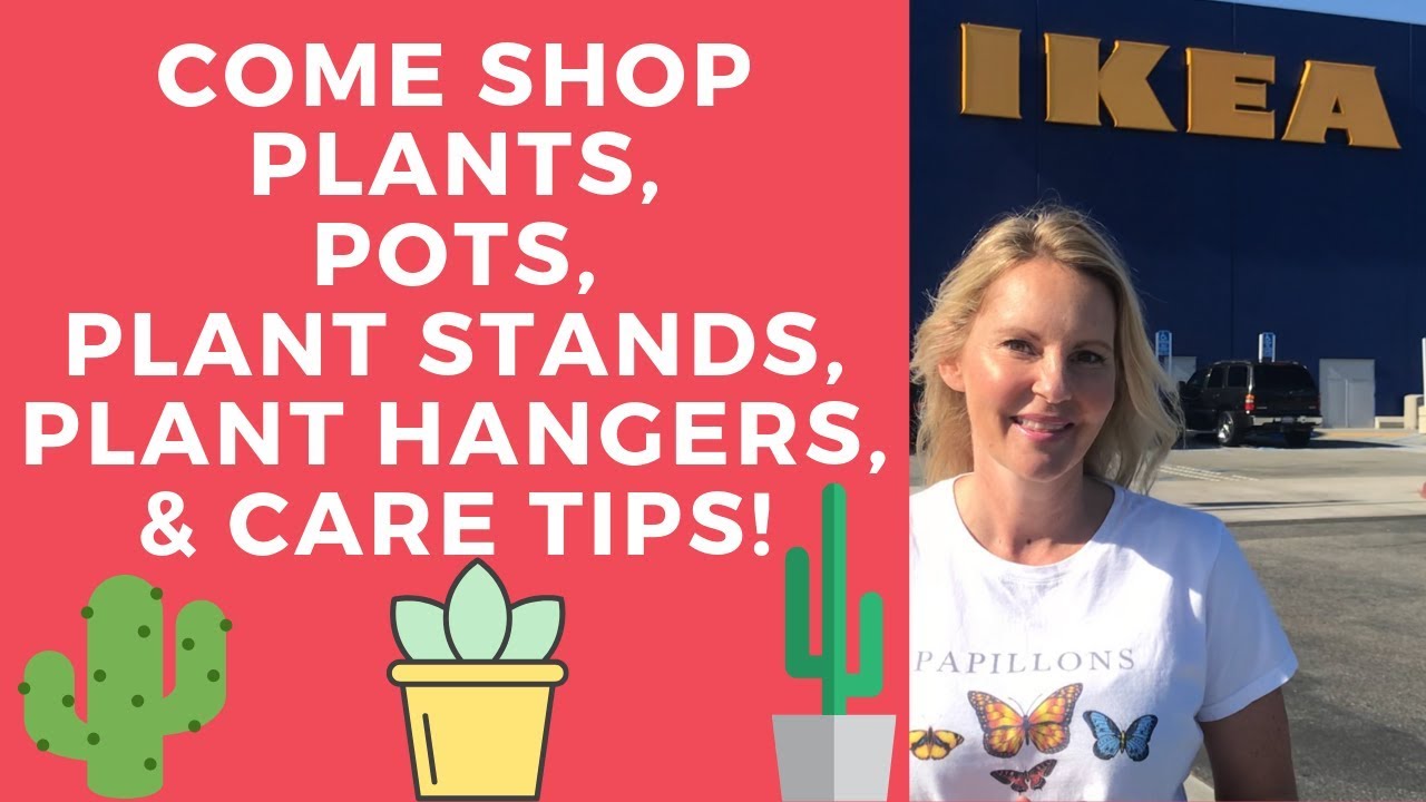 come shop IKEA plants, pots, plants stands, plant hangers with MOODY BLOOMS