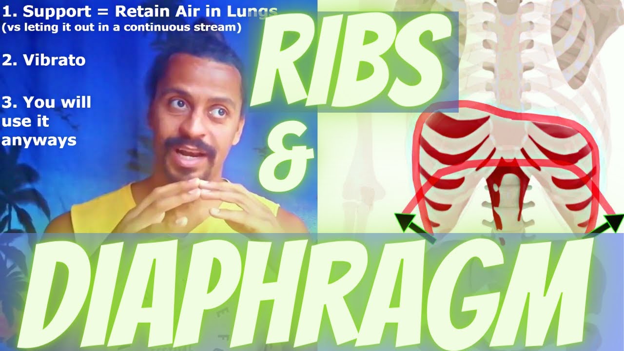 Why no Diafragm-Talk ?!?  – Anatomical Vocal Training (18)