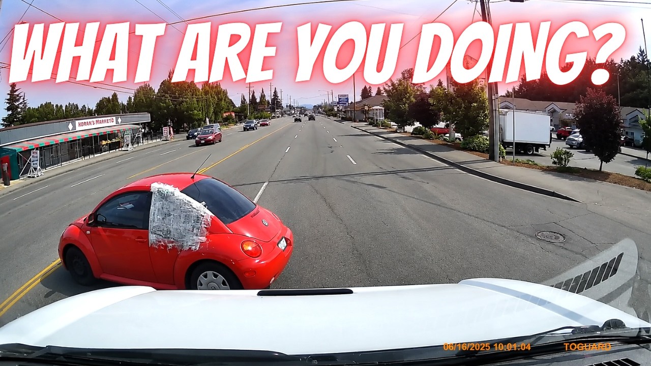 What Was This Beetle Driver Thinking?! Driving fails - learn how to drive #1578
