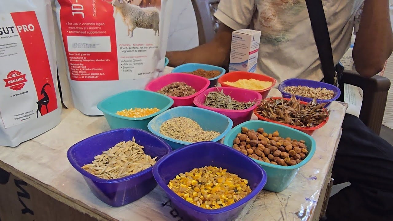 JD Goat Feed Branch Franchise In Sion Dharavi | Tabrez Bhai All Goat Feed And Supplements.