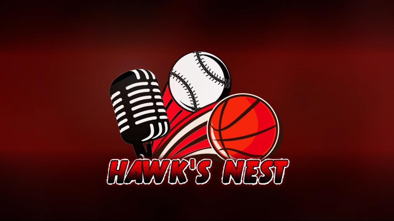 Hawk's Nest: 2/15/26