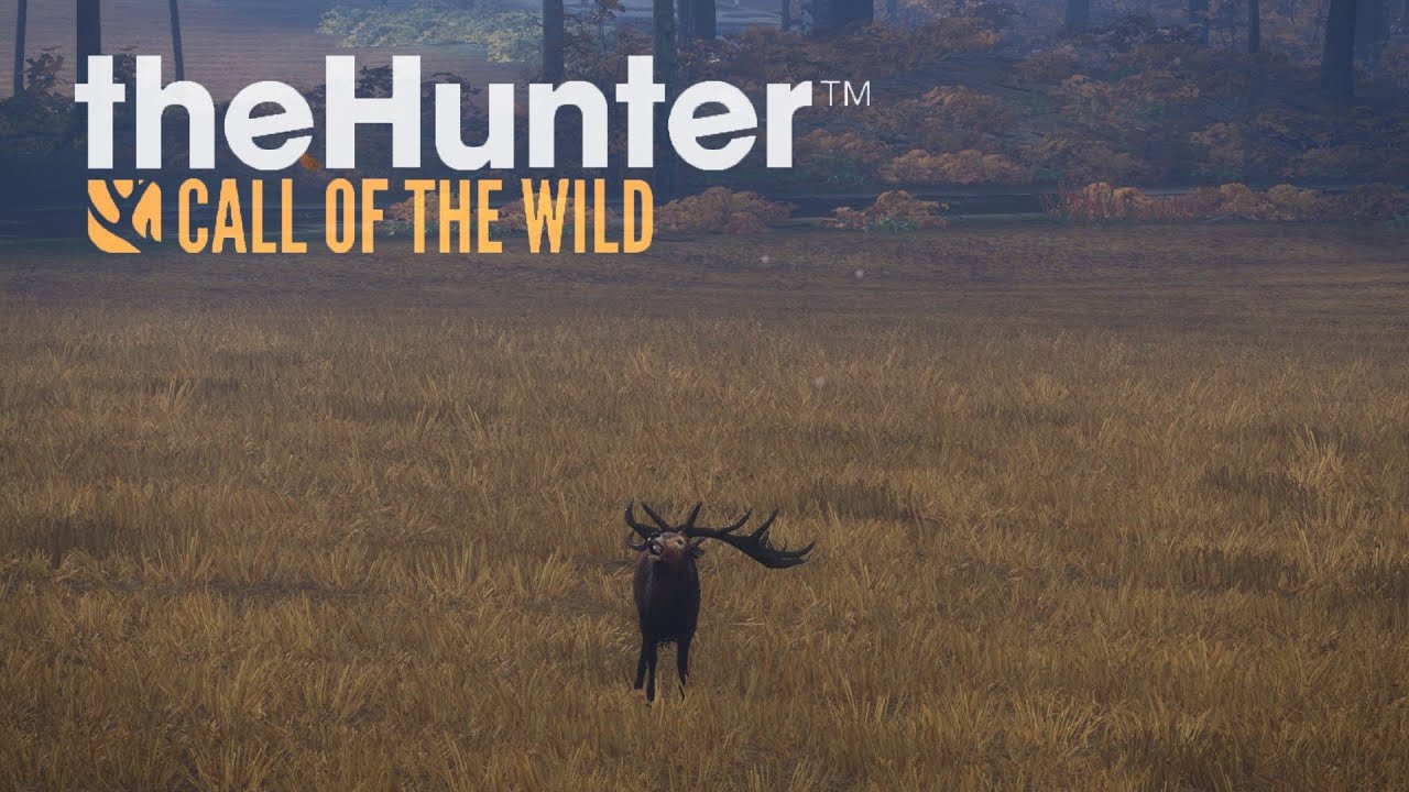 The Hunter COTW - Мои лучшие трофеи