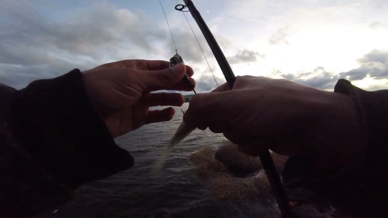 JANUARY IS A SPECIAL MONTH TO BE FISHING