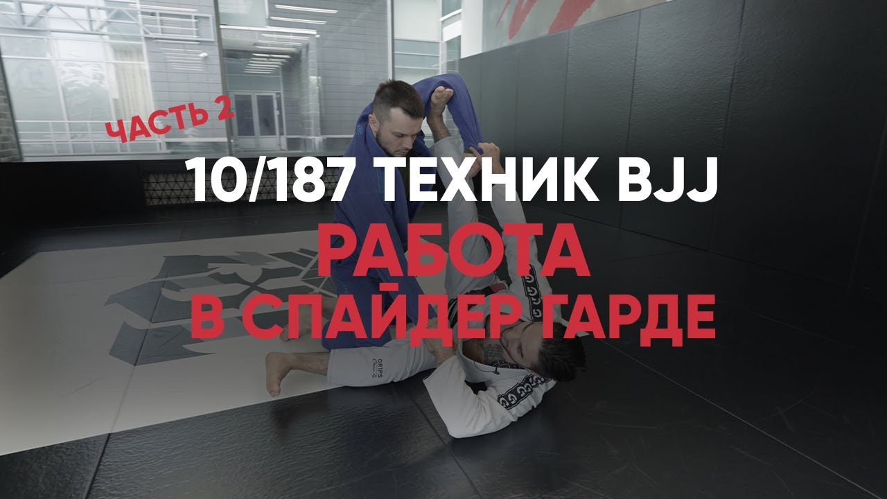 Джиу джитсу. Работа в спайдер гарде