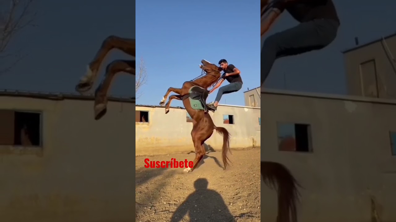 c&oacute;mo montar caballo #caballos #hours #genial